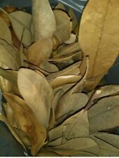 Gallon free approx for sale  Huntington