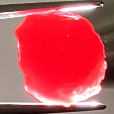 Lindo rubi vermelho áspero natural aquecido normal Madagascar 11,12 quilates, usado comprar usado  Enviando para Brazil