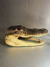 Vintage alligator real for sale  Davis Junction