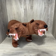 Fluffy headed dog for sale  Centralia