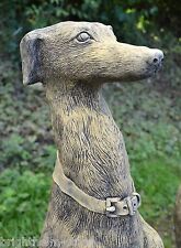 Pair whippet dog for sale  HORSHAM