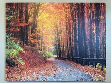 Road beautiful autumn for sale  Canton