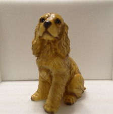 Brown cocker spaniel for sale  Round Lake