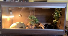 Vivexotic vivarium light for sale  SEVENOAKS