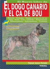 Dogo canario kanarische gebraucht kaufen  Düsternort