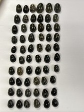 Kupee nerite hawaiian for sale  Kealakekua