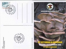 2000 oristano sardegna usato  San Teodoro