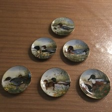 Kleine sammelteller marco gebraucht kaufen  Keltern