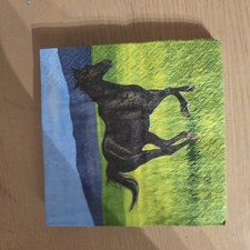 Servietten wildpferd 25 gebraucht kaufen  Wadgassen