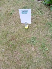 Golf stronger design for sale  SOUTHPORT