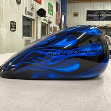 Harley davidson custom for sale  Woden