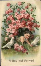 Cartão postal vintage anúncio de nascimento "menino acabou de chegar" bebê entre rosas c1910 comprar usado  Enviando para Brazil