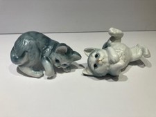 Vintage tabby kittens for sale  Moline