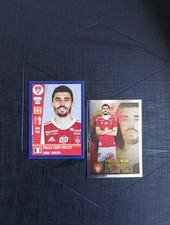 Lot sticker image d'occasion  Grand-Champ