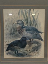 Wooden framed art for sale  Encino