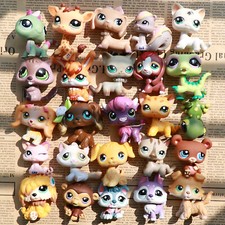 Pet shop pets for sale  Las Vegas