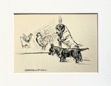 Terrier dog vintage for sale  NORWICH