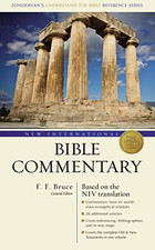 New international bible for sale  UK