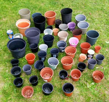 Plastic plant pot for sale  WORTHING