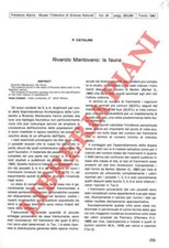 Lombardia mantova catalani usato  Italia