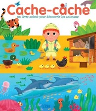 Cache cache livre d'occasion  Hennebont