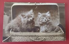 Vintage cat postcard for sale  POTTERS BAR