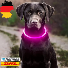 Led hundehalsband leuchtend gebraucht kaufen  Speichersdorf