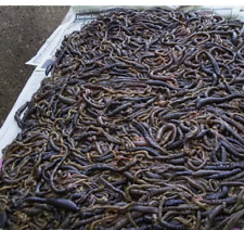 250g approx salted for sale  HASTINGS