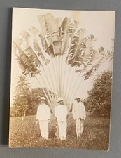 Photo militaire colonial d'occasion  Paris XVIII