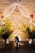 Balloon arch column for sale  WATFORD
