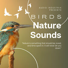 Nature Sounds CD Birds CD Bird Song Sounds Special FX Foley FREE UK P&P - NEW comprar usado  Enviando para Brazil