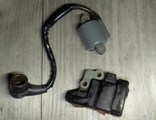 echo 550 d'occasion  Expédié en Belgium