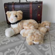 Toys cat kittens for sale  NORWICH