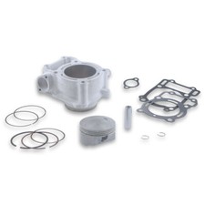 Malossi aluminum cylinder for sale  Shipping to United Kingdom