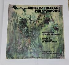 Ernesto treccani per usato  Bagnacavallo