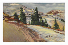 Vintage postcard timberline for sale  Kansas City