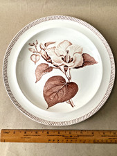 Antique wedgwood creamware for sale  LLANDUDNO