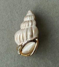 Muschel brosche gold gebraucht kaufen  Recklinghausen