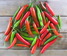 100 heirloom organic for sale  Spring Branch