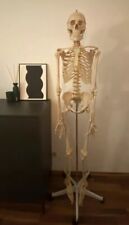 Jago menschliches anatomie gebraucht kaufen  Freiburg im Breisgau