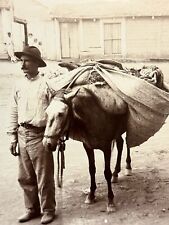 Fotografia antiga para 1900 vendedor de frutas Cuba Ref P comprar usado  Enviando para Brazil