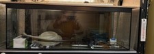 Aquarium fish tank for sale  PULBOROUGH