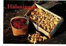 Cantharellus cibarius mirtilli d'occasion  Expédié en Belgium