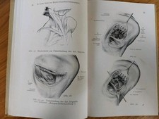 Buch 1943 zahnarzt gebraucht kaufen  Waldbrunn