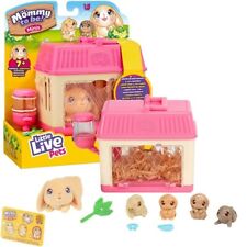 Giochi preziosi live usato  Italia