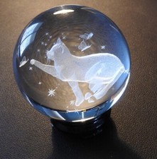 Laser etched cat for sale  Henderson