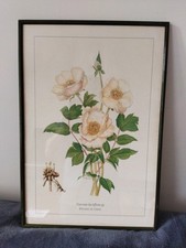 Lithographie gravure aquarell� d'occasion  Viriat