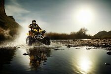 Atv quad bike for sale  SELBY
