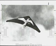Press photo hang for sale  Memphis