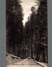 Firenze vallombrosa strada usato  Asti